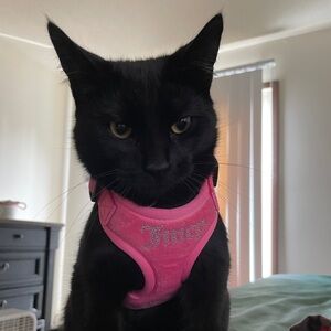 Meet your Posher, Olivia